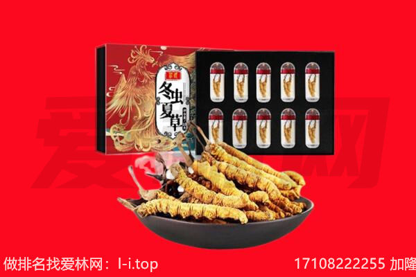 东莞市回收虫草.jpg
